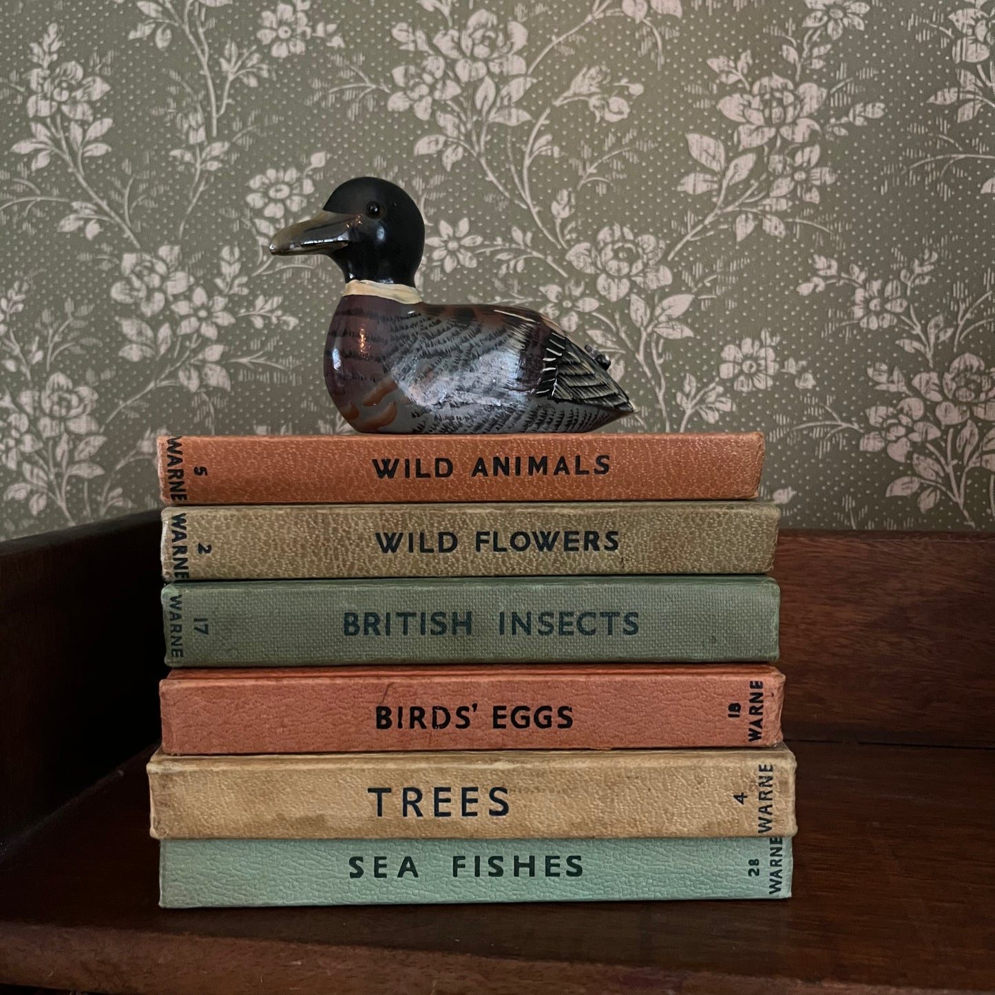 Vintage Observer Books Brown and Green
