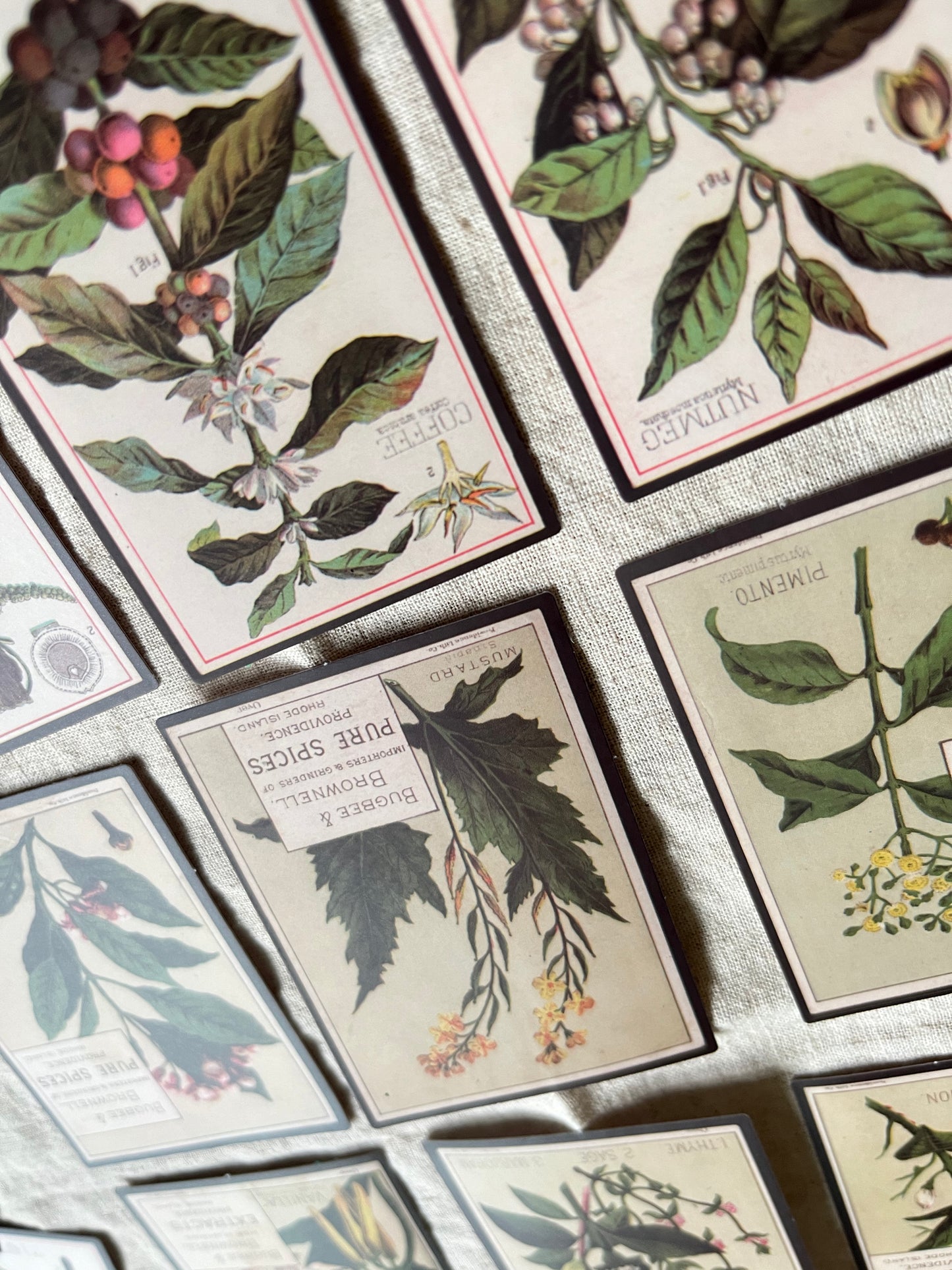 Vintage Plant and Spice Stickers