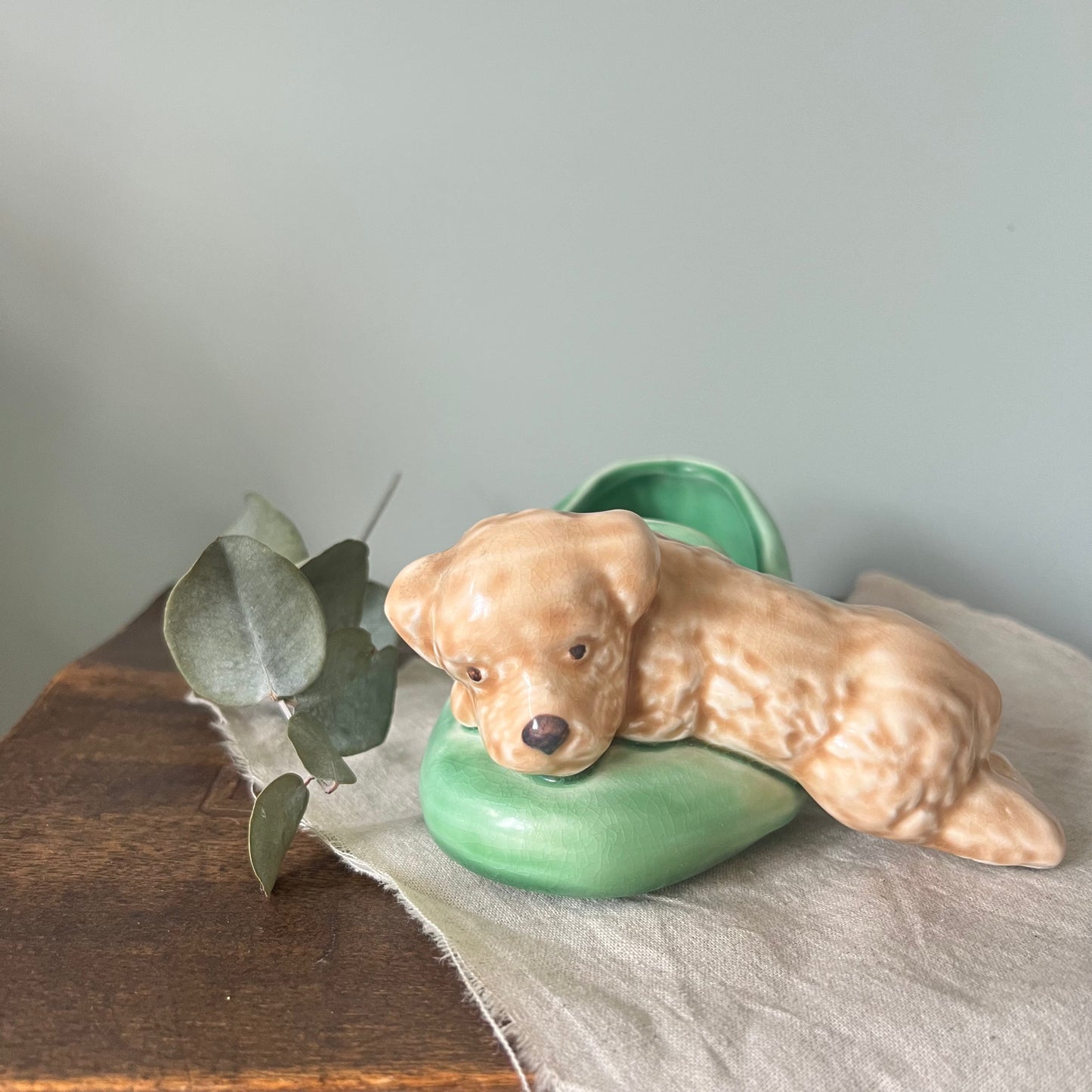 Slyvac Dog on Slipper