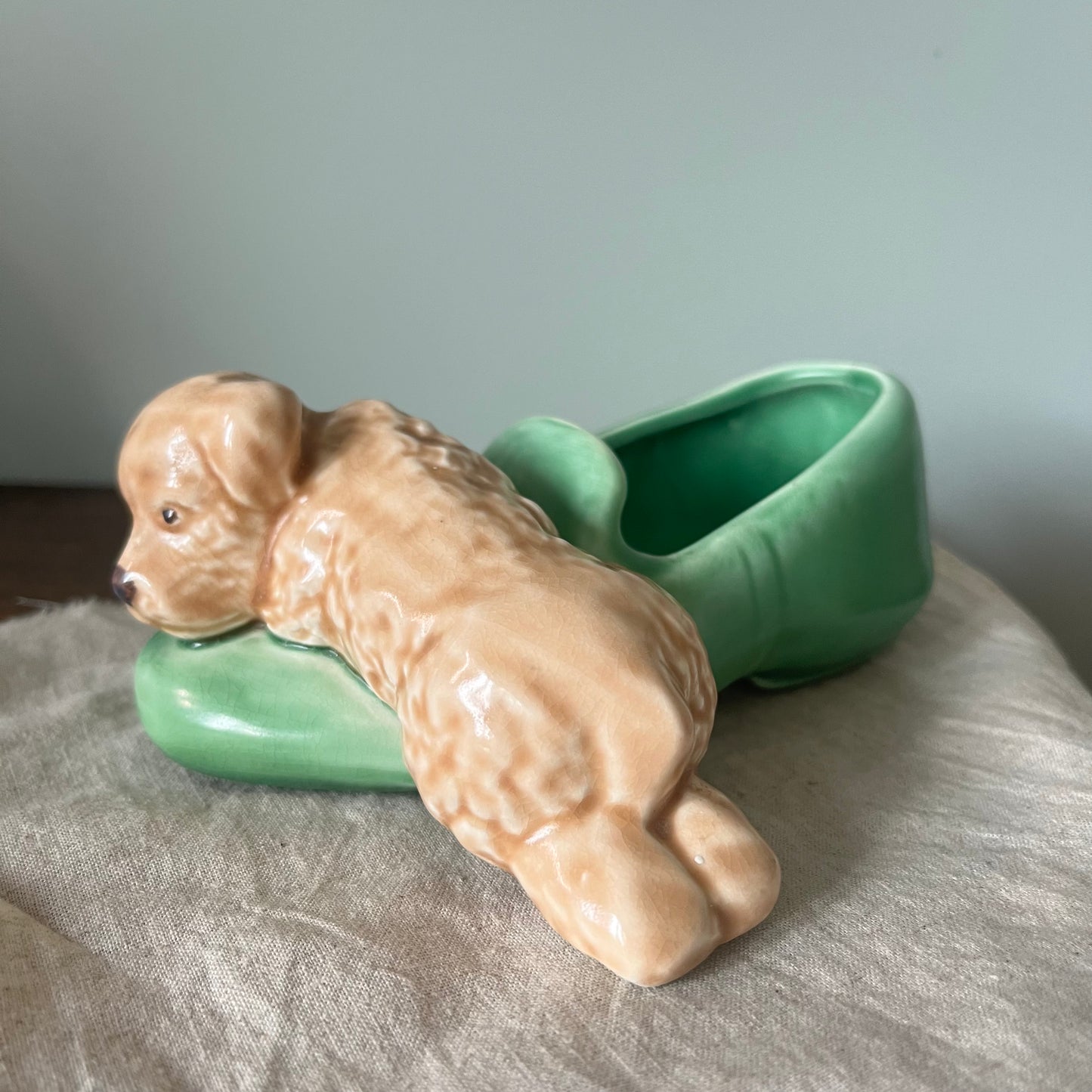 Slyvac Dog on Slipper