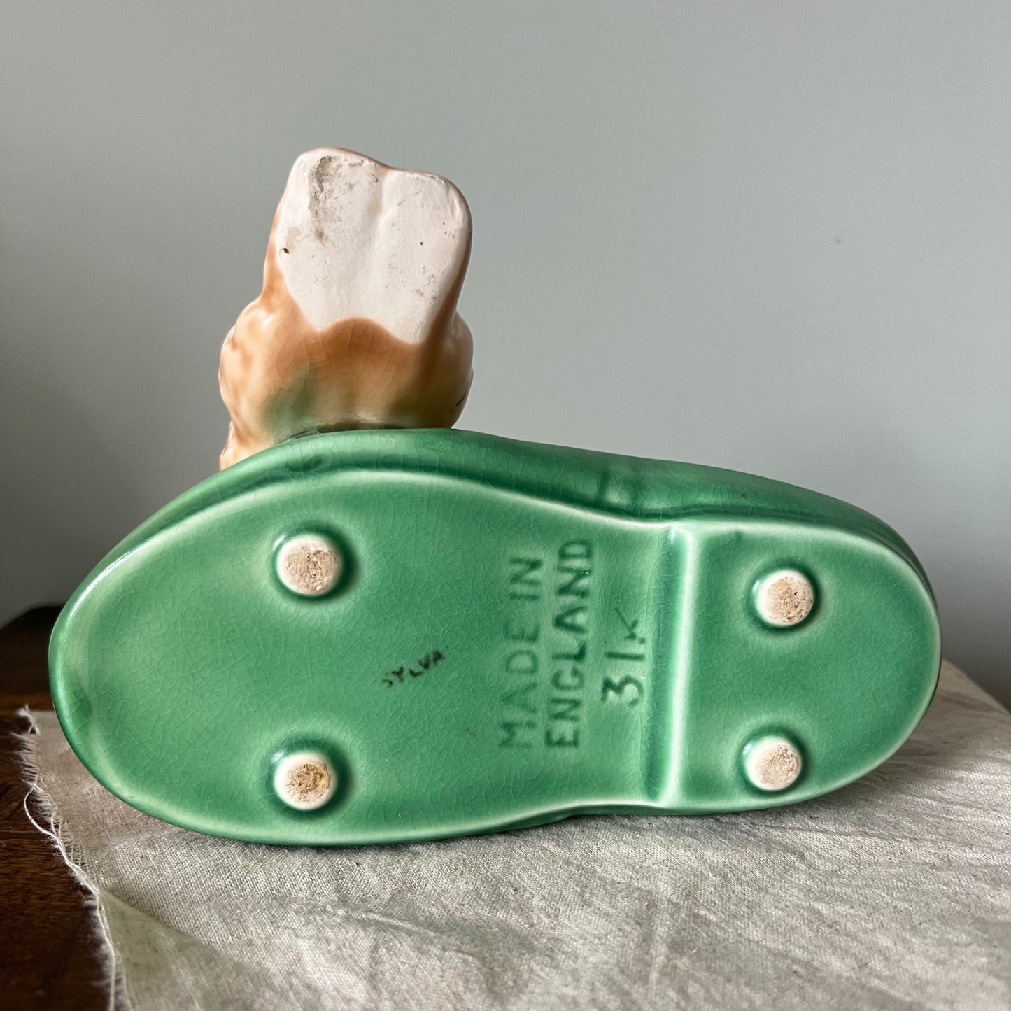 Slyvac Dog on Slipper