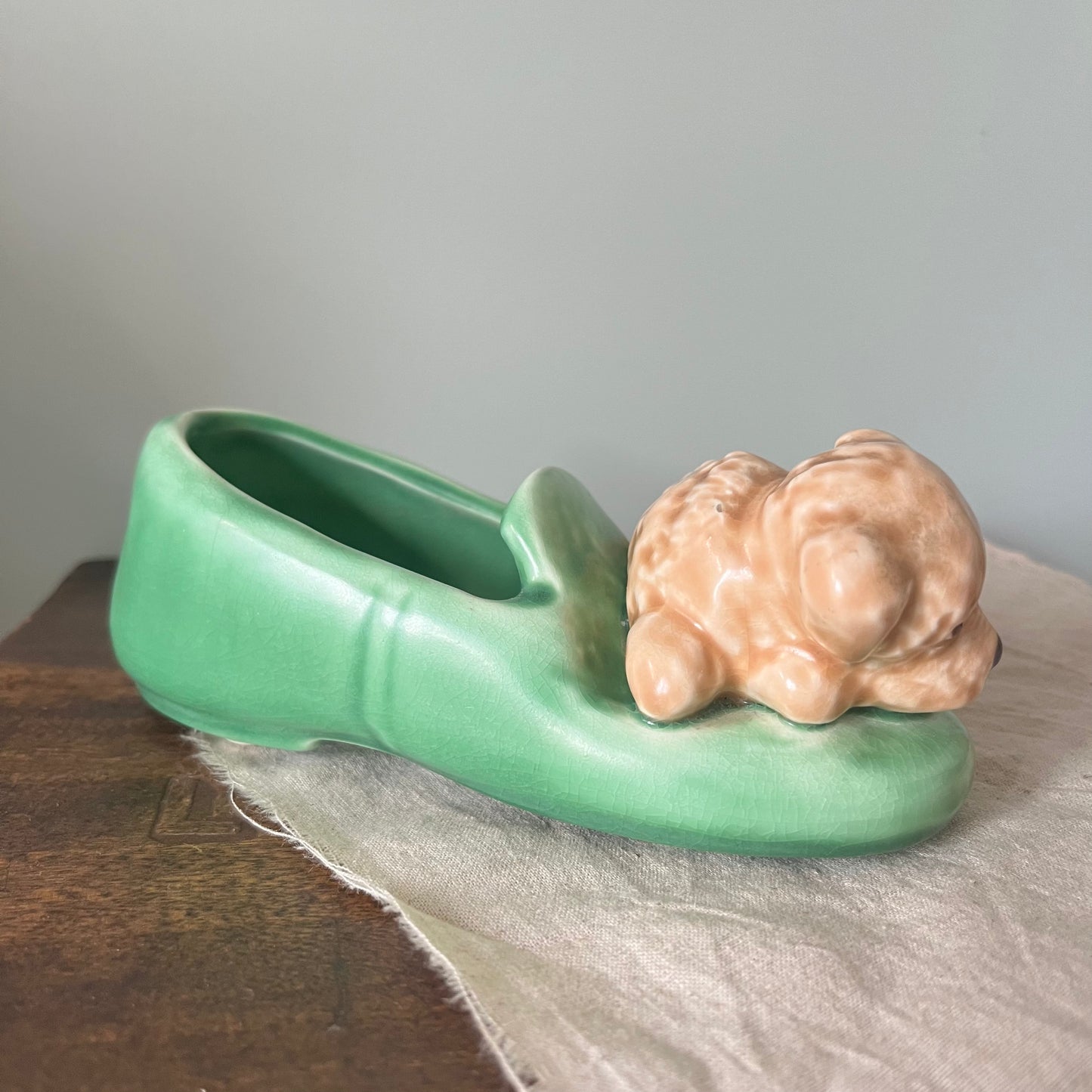 Slyvac Dog on Slipper