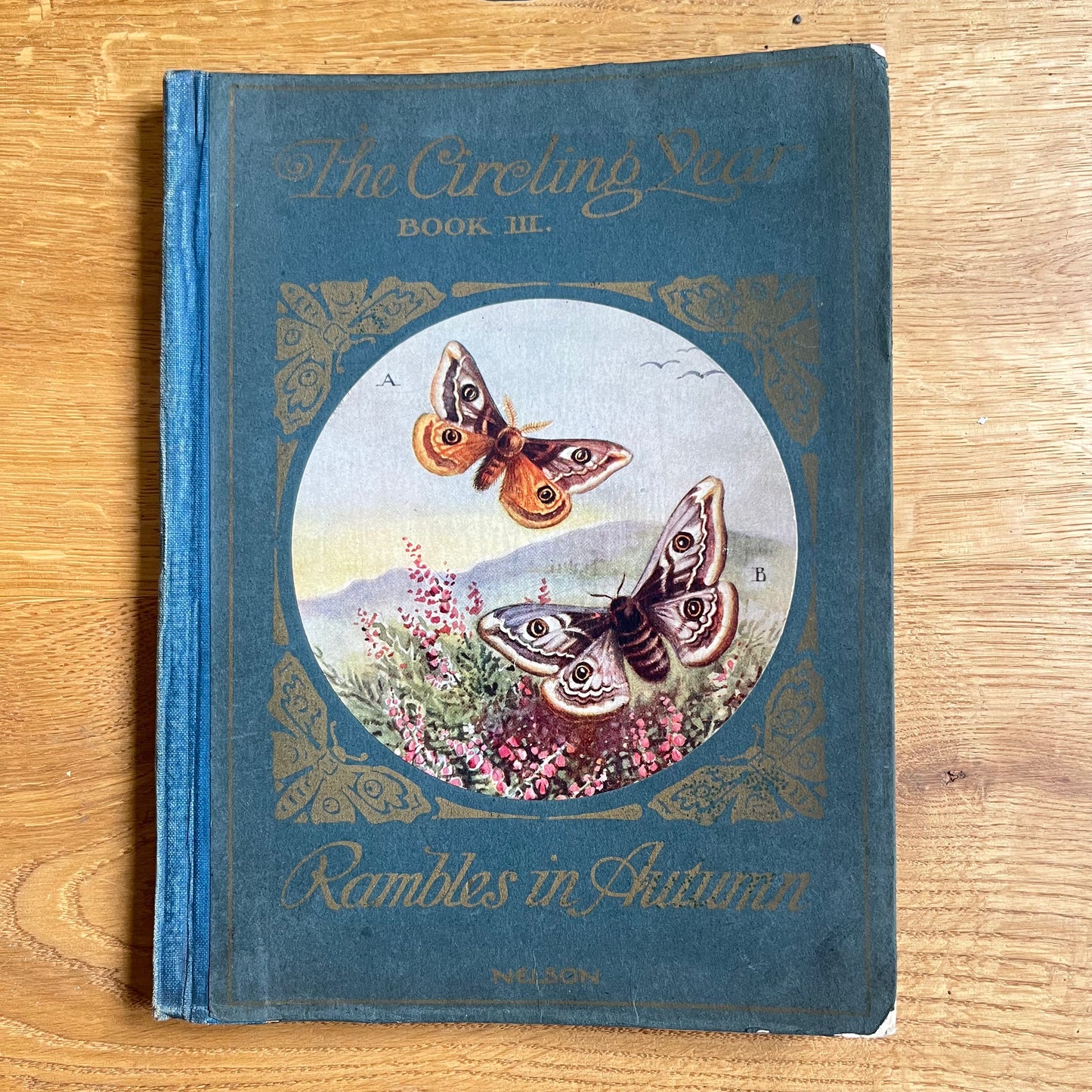 The Circling Year Part III: Rambles in Autumn (Hardcover, 1918)