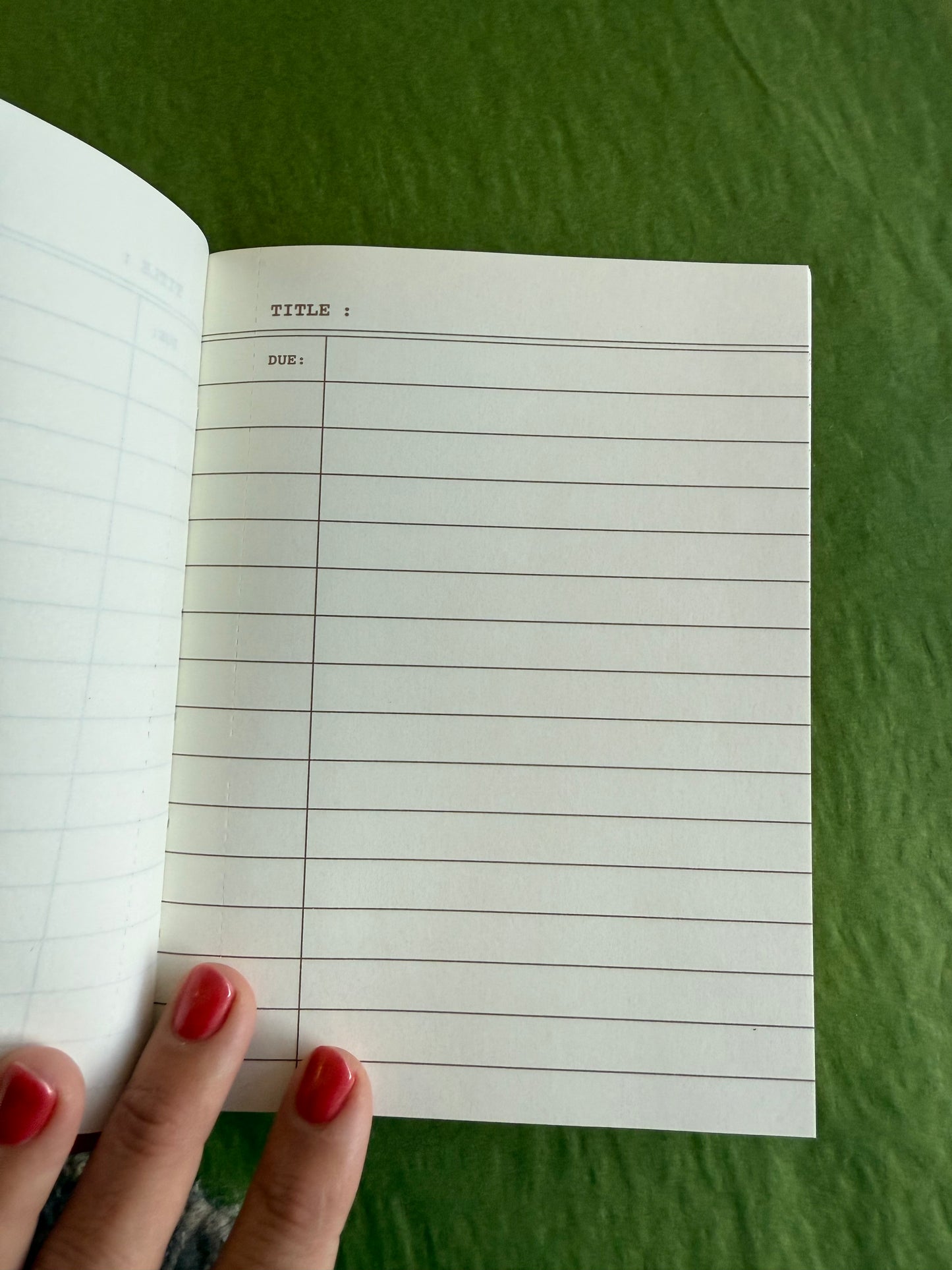 Cat Lover’s Gift Set