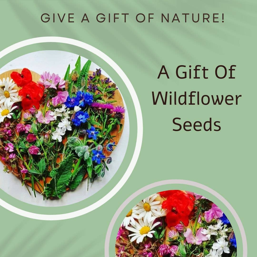 Vintage Blooming Birthday Card - A gift of wildflower seeds