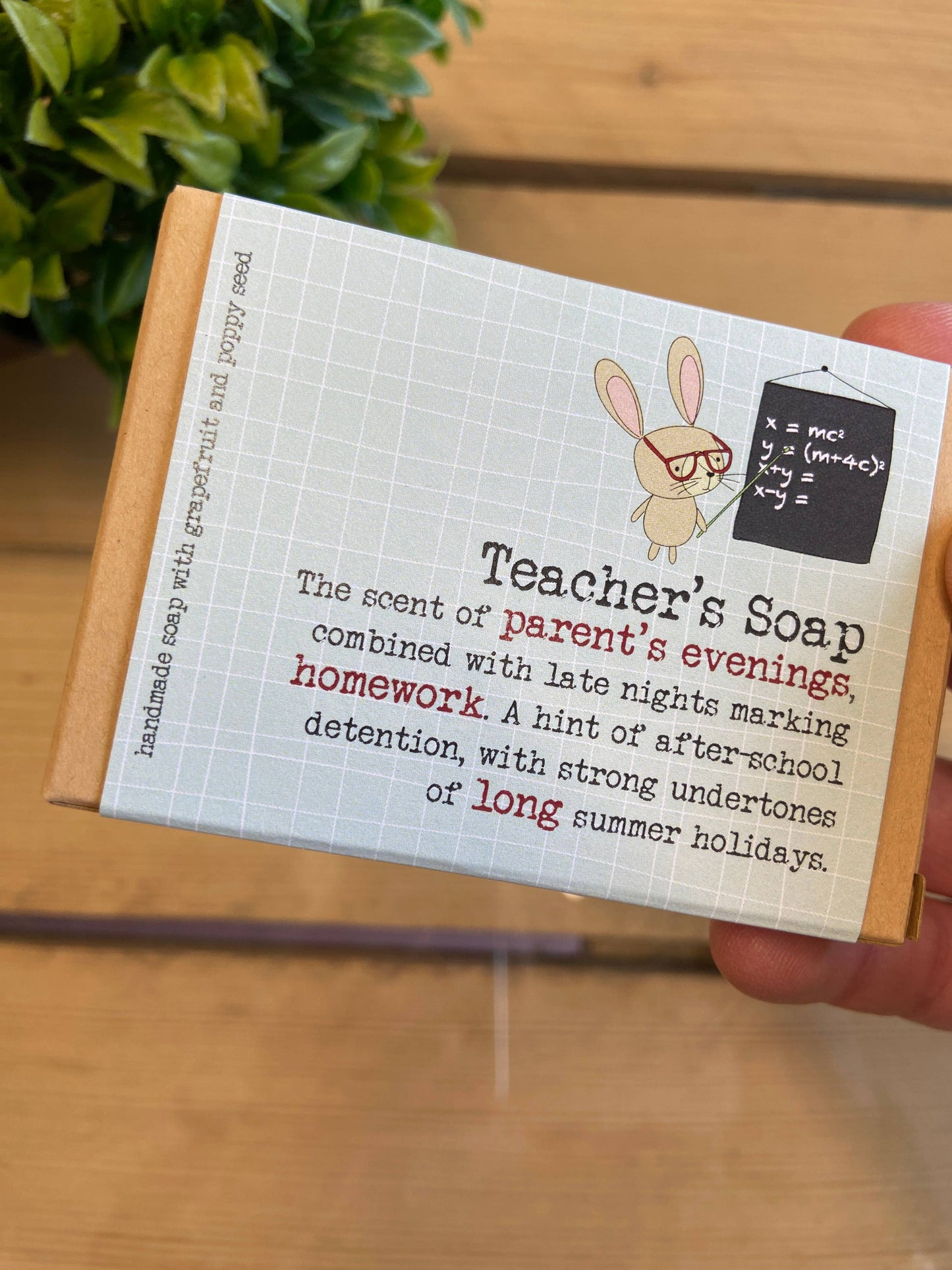 Teacher's Soap - Funny soap gift