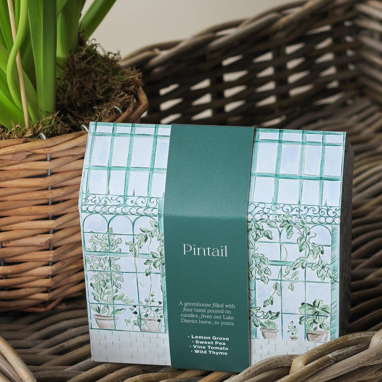 Greenhouse Candle Gift Set