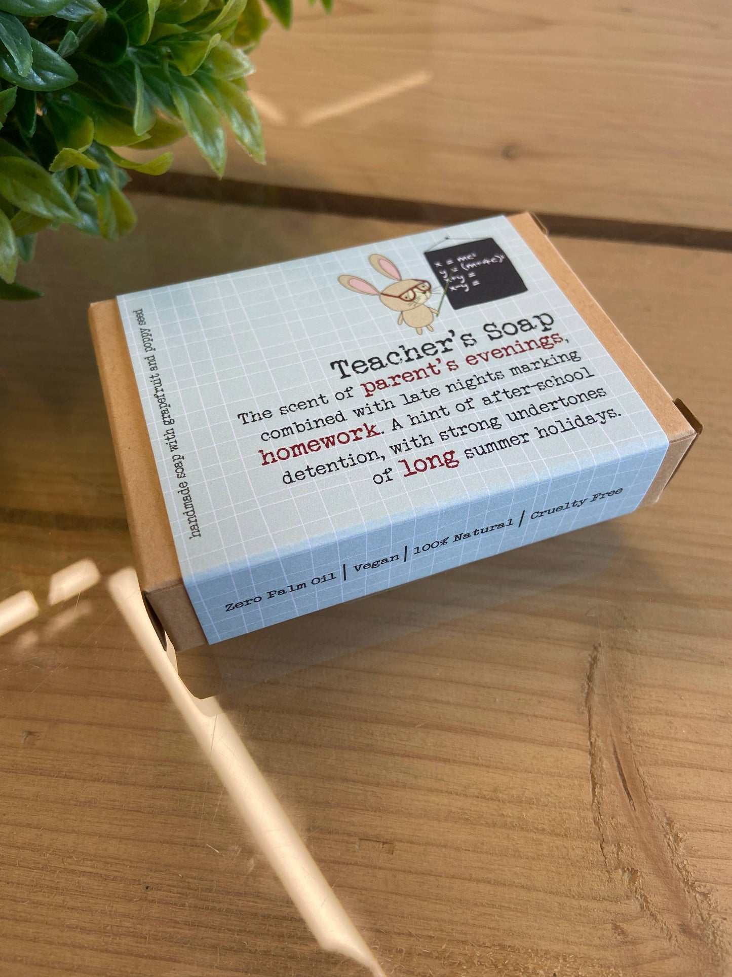 Teacher's Soap - Funny soap gift
