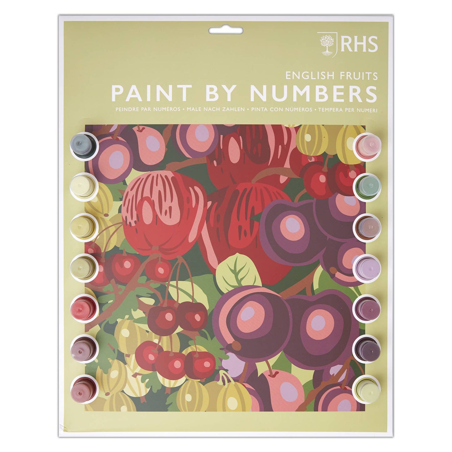 RHS Paint By Numbers A3 English Fruits
