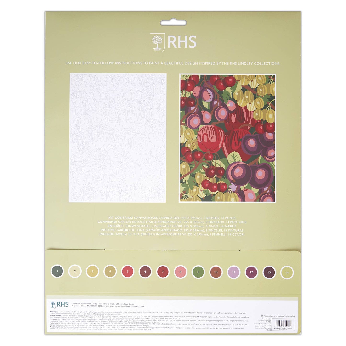 RHS Paint By Numbers A3 English Fruits