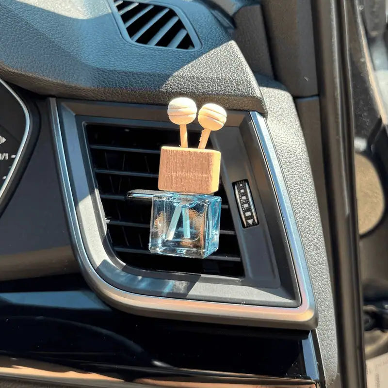 Car Diffuser Rosy Roo