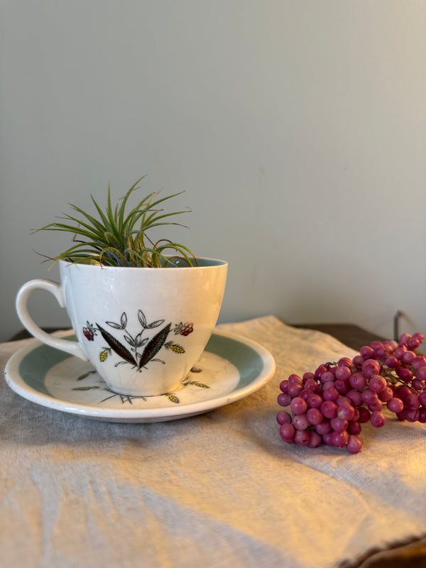Floral Tea Cup and Saucer - Alfred Meakin Hedgerow