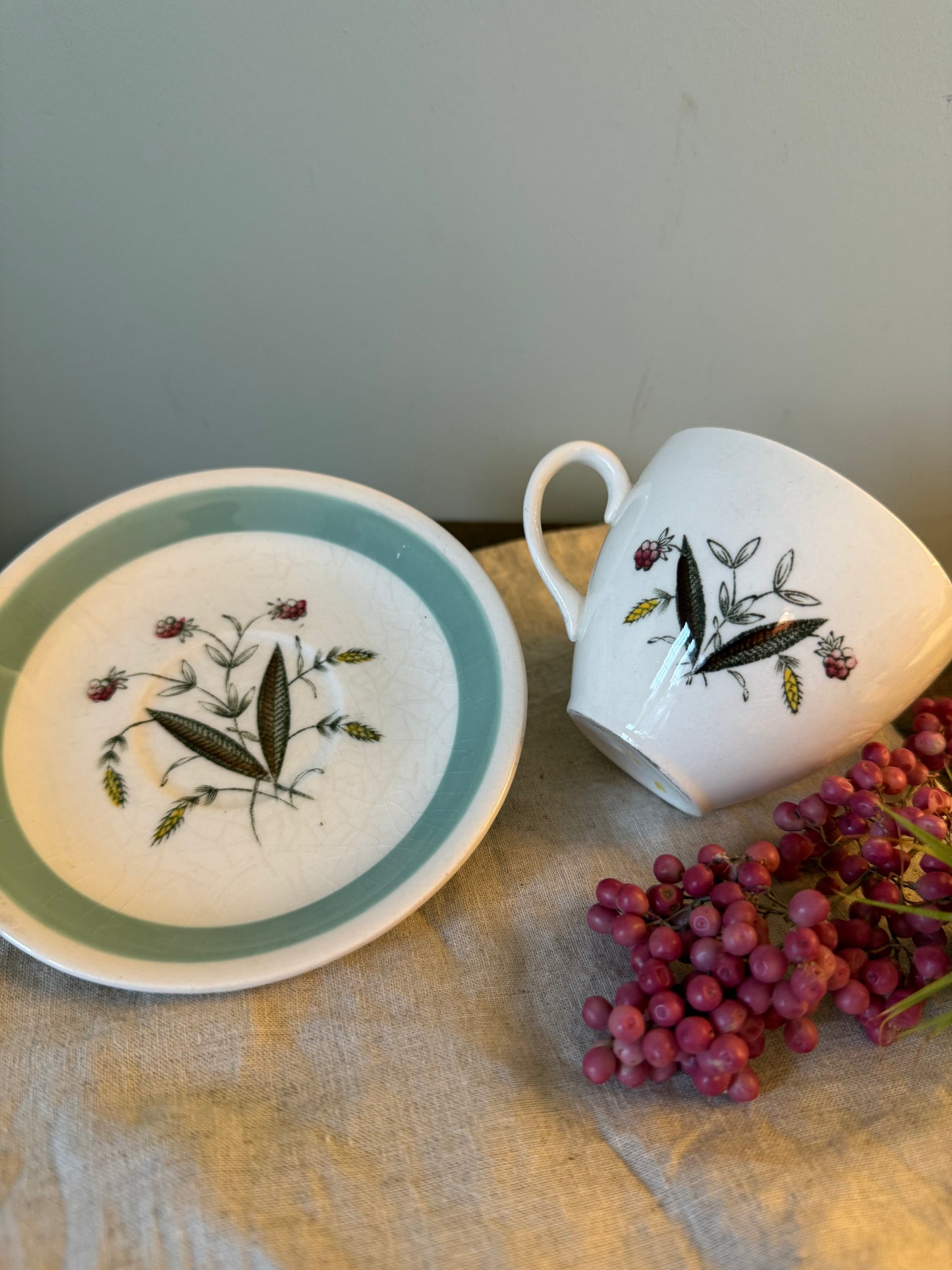 Floral Tea Cup and Saucer - Alfred Meakin Hedgerow