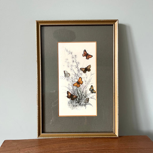 Butterfly Print framed