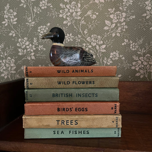 Vintage Observer Books Brown and Green