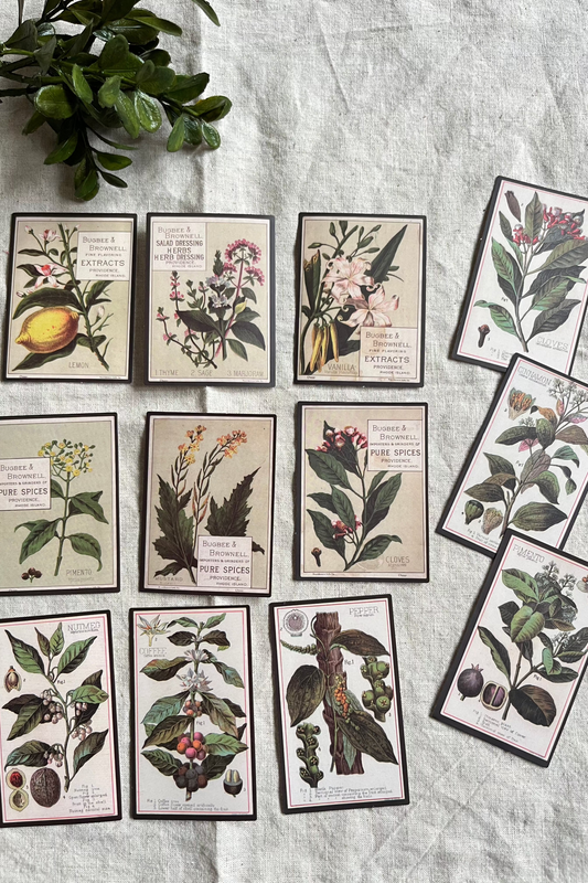Vintage Plant and Spice Stickers