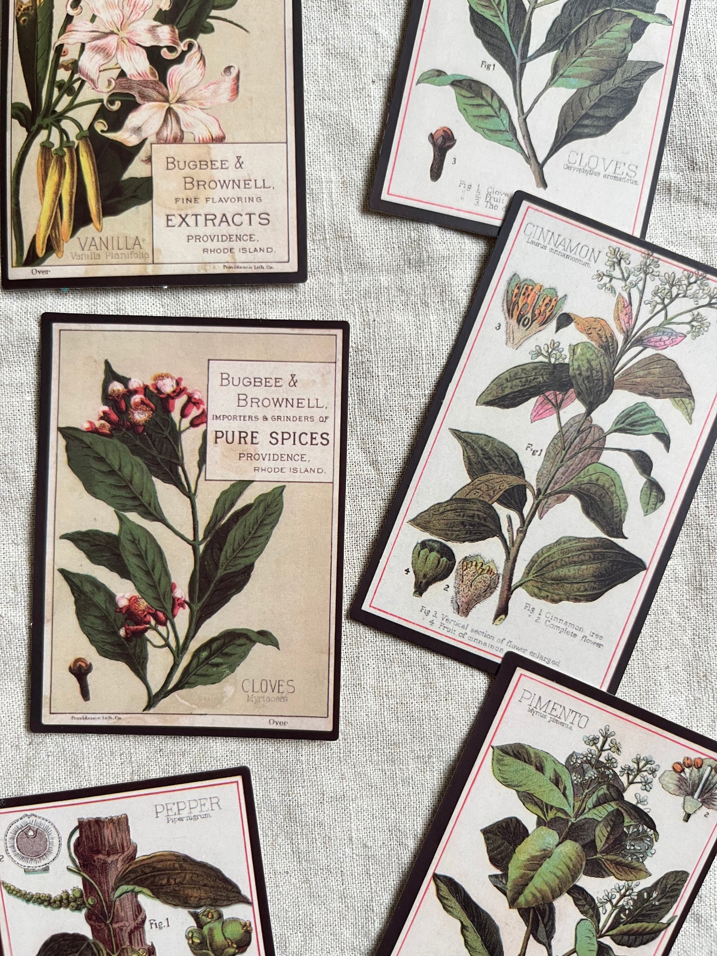 Vintage Plant and Spice Stickers