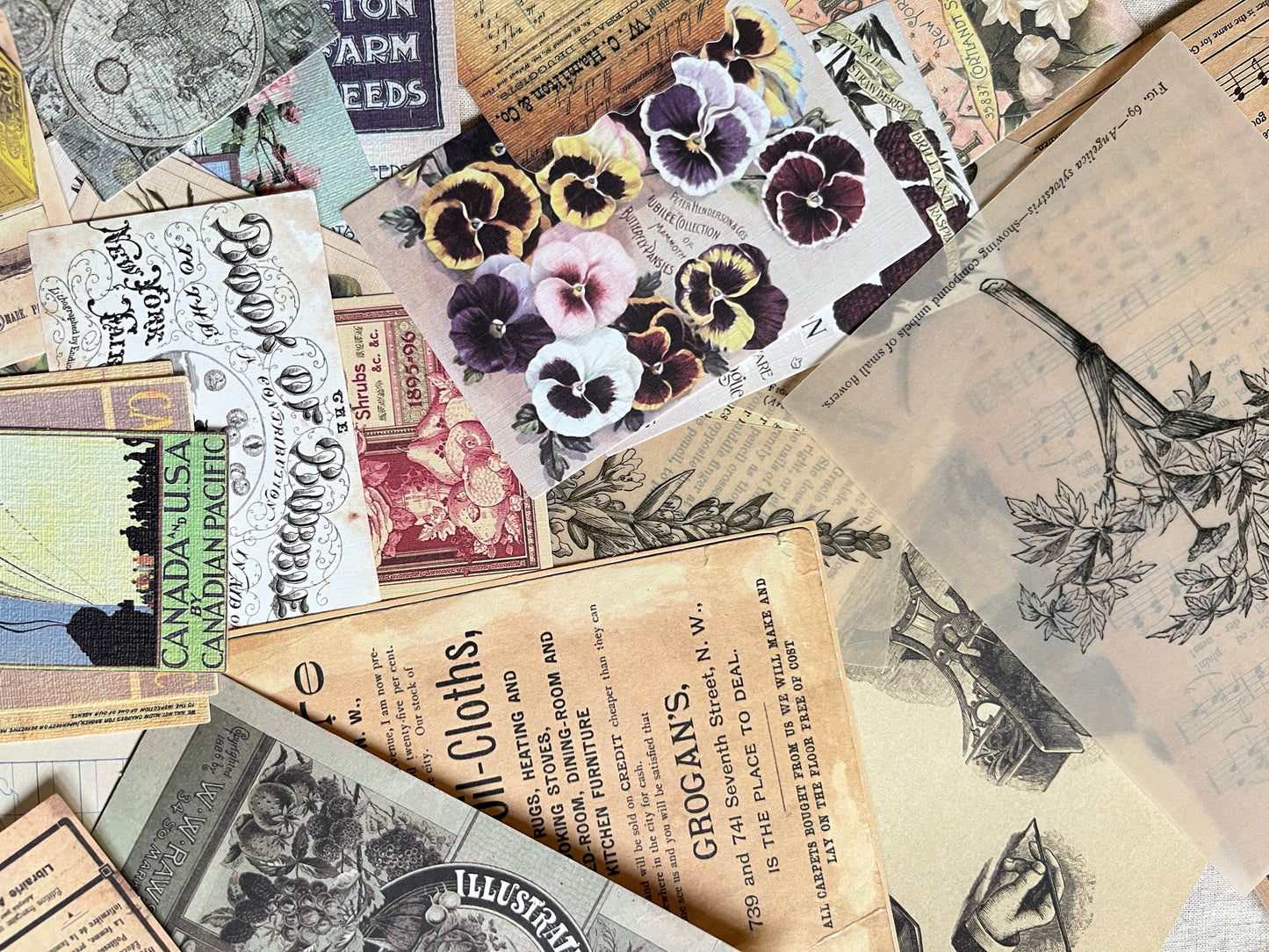 Vintage-Inspired Paper Ephemera Set