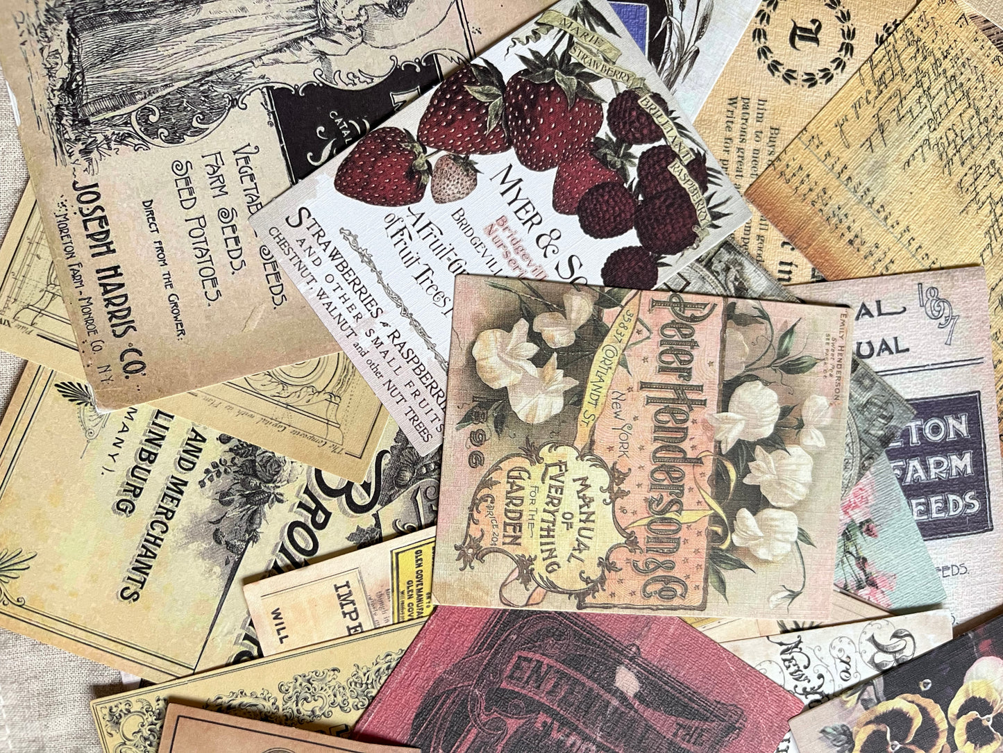 Vintage-Inspired Paper Ephemera Set
