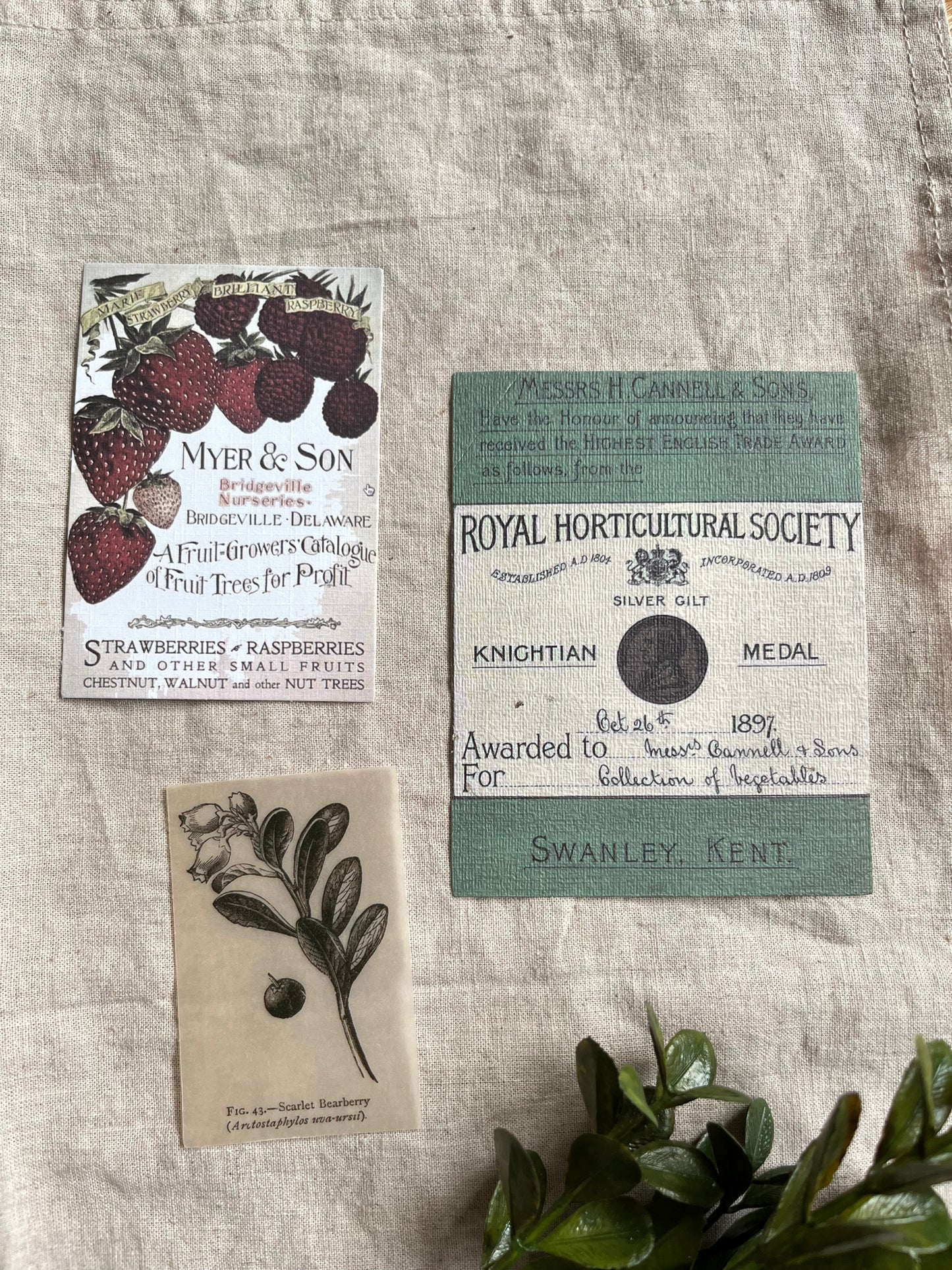 Vintage-Inspired Paper Ephemera Set