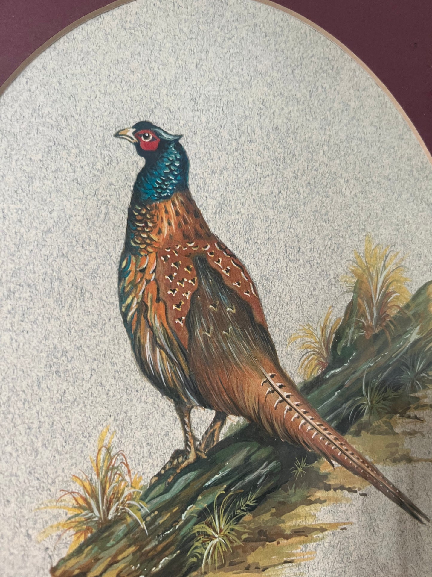 Pheasant Print in Carved Wood Frame
