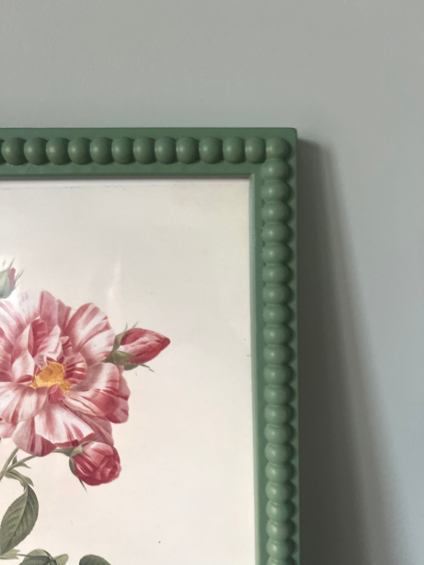 Vintage Print Pierre Joseph Redoute in a Bobbin Frame