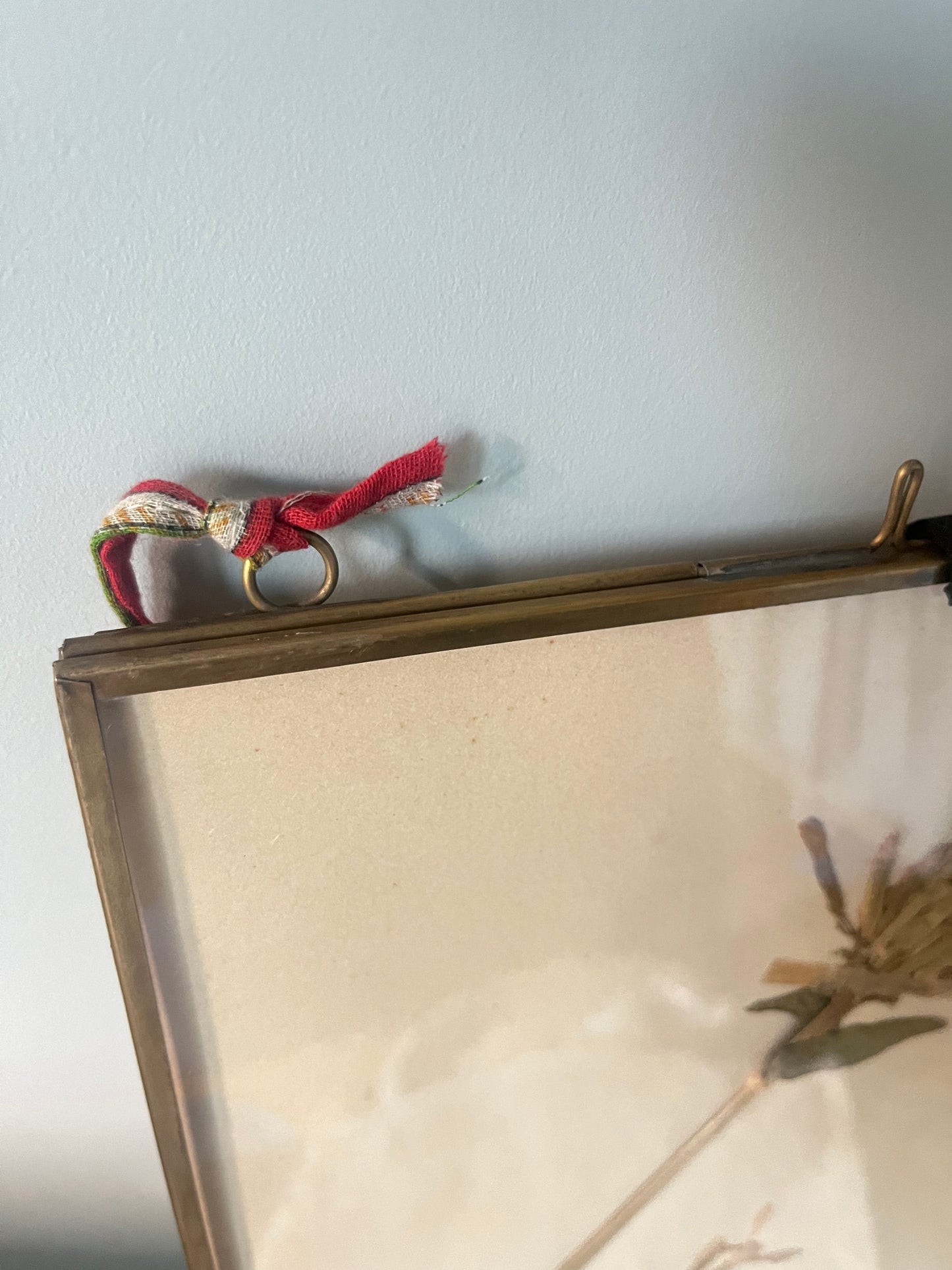 Framed Swiss Herbarium - 1