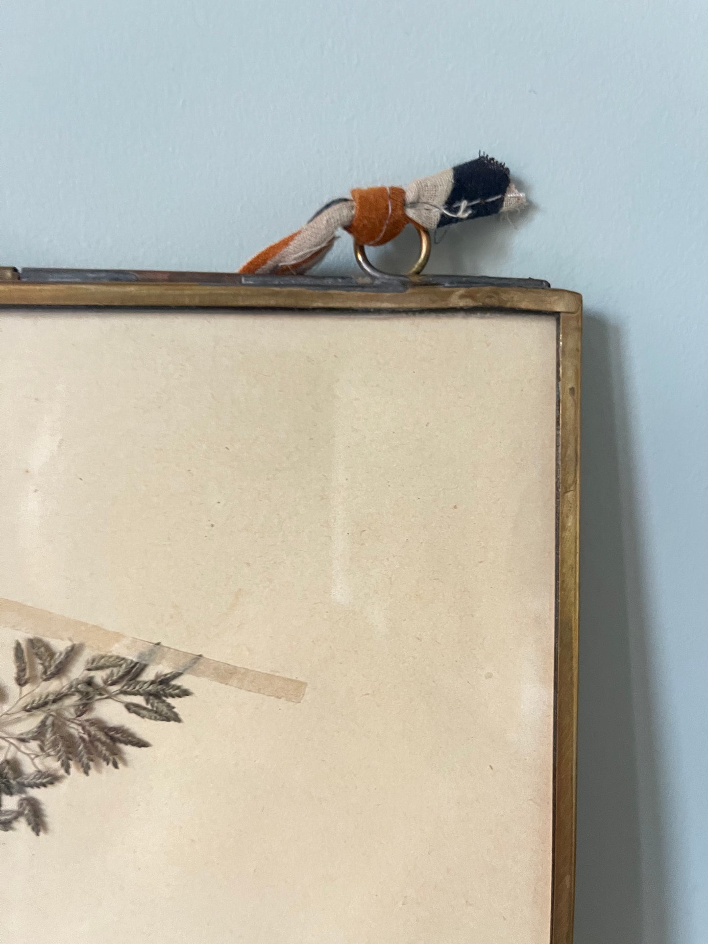 Framed Swiss Herbarium - 2