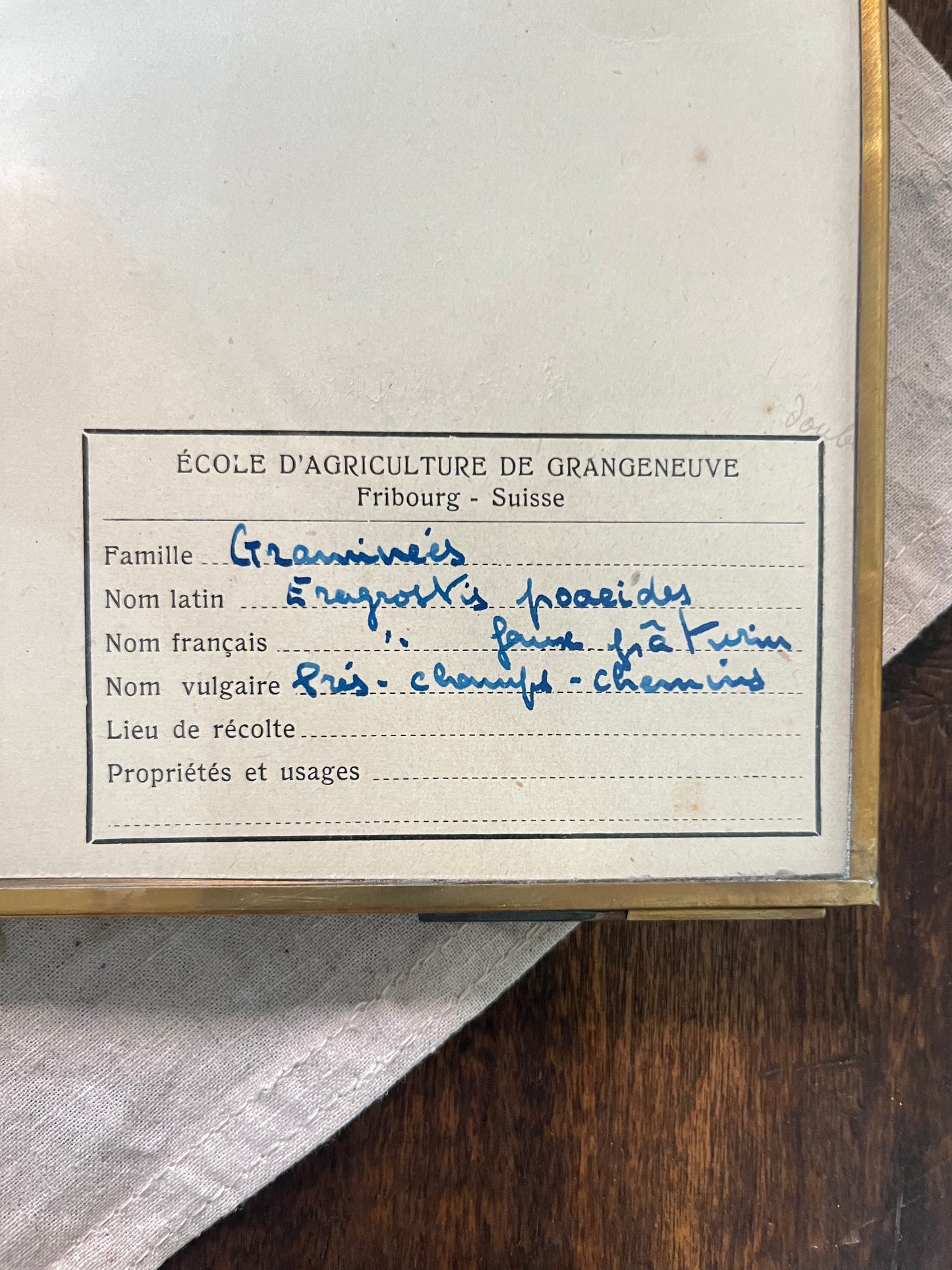 Framed Swiss Herbarium - 2