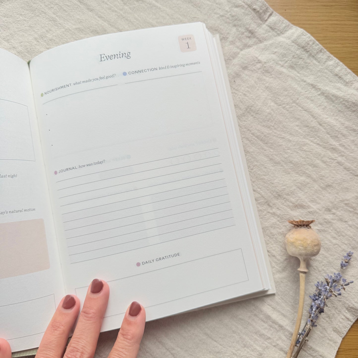 Papier Daily Wellness Journal – A Ritual of Care
