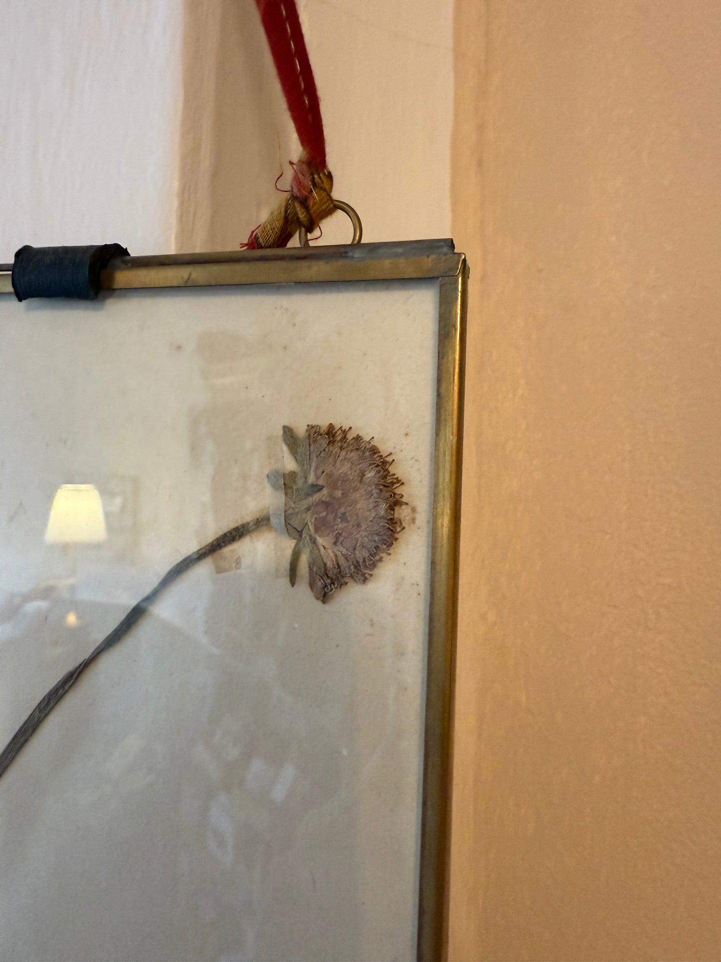 Vintage French Herbarium in Brass Frame