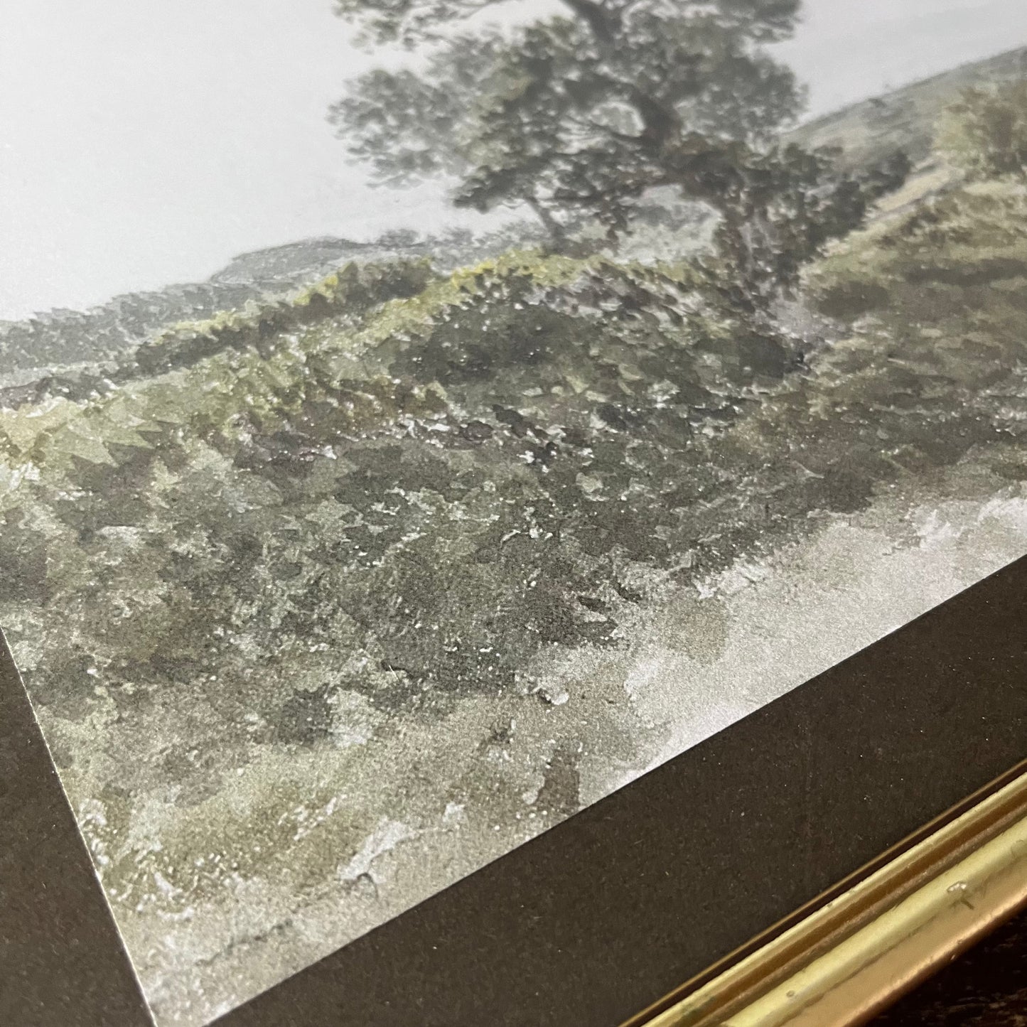 Vintage Landscape with a Tree Framed - 2